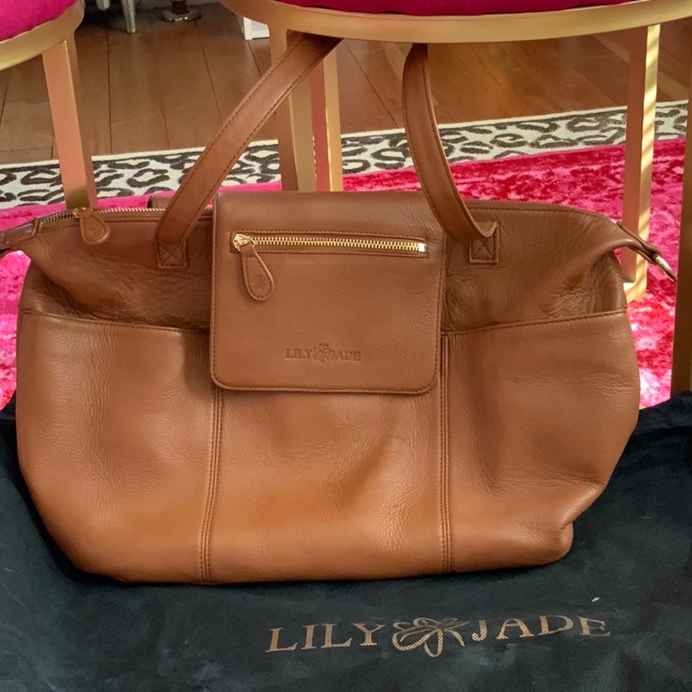 Lily Jade Genuine Leather Madeline Bag
